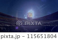 night Train 115651804