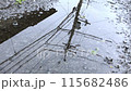 puddle of water 115682486