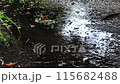 rain  115682488