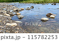 清々しい気持ちになる川 115782253
