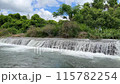 自然を感じる風景 115782254