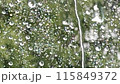 雨天雨滴落在窗玻璃上的風景 115849372