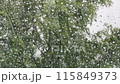 雨天雨滴落在窗玻璃上的風景 115849373