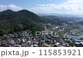 海と山のある風景の空撮（愛媛県） 115853921