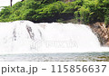 Tsuta no Fuchi, Niagara Falls of Oku-Mikawa, Furikusa Valley, Toei Town, Aichi Prefecture, right bank 115856637