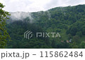 Misty Carpathian Mountains fog clouds 4K footage motion landscape. High altitude mountain view in valley Scenic forest 115862484