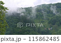 Misty Carpathian Mountains fog clouds 4K footage motion landscape. High altitude mountain view in valley Scenic forest 115862485
