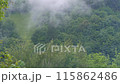 Misty Carpathian Mountains fog clouds 4K footage motion landscape. High altitude mountain view in valley Scenic forest 115862486