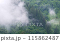 Misty Carpathian Mountains fog clouds 4K footage motion landscape. High altitude mountain view in valley Scenic forest 115862487