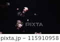 複数のタコクラゲの一種が水中浮遊している 115910958