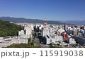 愛媛県松山市中心部の上空　ドローン空撮映像 115919038