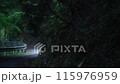 姫蛍が舞う林道タイムラプス 115976959