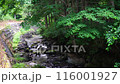流動清澈的溪流 116001927
