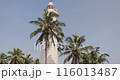 Historic Galle Fort Lighthouse Surrounded by Palm Trees in Sri Lanka 116013487