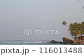 Serene Coastal View of Dalawella Beach Frog Rock with Palm Trees 116013488