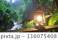森の奥のランタンの癒し 116075408