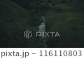 螢火蟲和河水潺潺 116110803