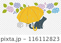 Rainy day. Loop animation of a yellow umbrella and a black cat. Hydrangea. Transparent background. 116112823