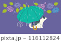 Rainy day. Loop animation of cat and umbrella. Hydrangea. 116112824