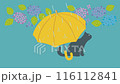 Rainy day. Loop animation of a yellow umbrella and a black cat. Hydrangea. 116112841
