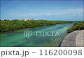 Drone view of Punta Nizuc  estuary in Cancun 116200098