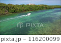 Drone view of Punta Nizuc  estuary in Cancun 116200099