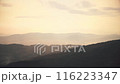 Image of a sunset and a flying plane 116223347