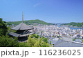 The three-story pagoda of Tenneiji Temple and the streetscape of Onomichi City, Hiroshima Prefecture 116236025