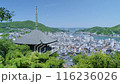 The three-story pagoda of Tenneiji Temple and the streetscape of Onomichi City, Hiroshima Prefecture 116236026