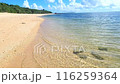 石垣島　真夏の渚 116259364