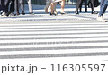 横断歩道を歩く人たちのイメージカット 116305597