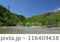 雨後上高地和梓川水位上升 116409438