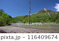 雨後上高地和梓川水位上升 116409674