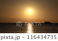 Beautiful yellow and orange sunrise over the sea. Beautiful seascape scenery, Amazing light of nature sunset background 116434735