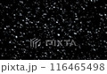 黒背景に光がきらめく動画、ループ 116465498