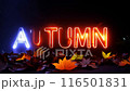 Blue neon sign "AUTUMN" and autumn leaves 116501831