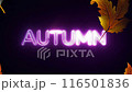 Autumn Neon Sign "AUTUMN": Mountains and Autumn Leaves at Night 116501836