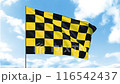 方格旗循環視頻 116542437