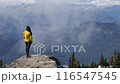 Person looking at mountain view. Hiker walking on summit of Blackcomb mountain top in Whistler. Tourist hiking in summer enjoying view of mountain landscape in British Columbia, Canada 116547545