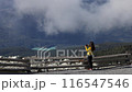 Whistler tourist taking pictures on summit of Blackcomb mountain top in Whistler using phone. Tourist hiking in summer enjoying view of mountain landscape in British Columbia, Canada 116547546