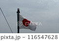 A national flag A national flag 116547628