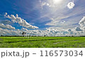 Crops and flowing sky with time-lapse format 116573034