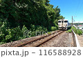 観光列車ふたつ星の走行風景厳選複数シーン　 116588928