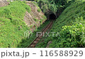 トンネルから出てくるふたつ星　観光列車 116588929