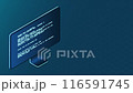 Isometric monitor animation. Computer monitor isometric desktop. Modern monitor. 4K video animated in isometric style 116591745
