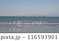 湘南海 116593901