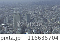 View of Tokyo from Ikebukuro 116635704
