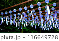 Minase Shrine Wind Chimes 116649728