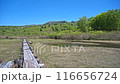 Mount Kurikoma Iwakagami Marsh 4K60p ProRes Pan Mount Kurikoma Iwakagami Marsh 4K60p ProRes Pan 116656724