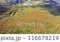 Autumn leaves on Mt. Kurikoma God's Carpet 03 Aerial shot of Lake Showa 4K60p (Long-term recording 4K30p recommended) ProRes Autumn leaves on Mt. Kurikoma God's Carpet 03 Aerial shot of Lake Showa 4K60p (Long-term recording 4K30p recommended) ProRes 116678219
